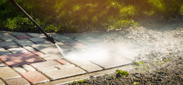 Animal Enclosure Cleaning in Harrisburg, PA
